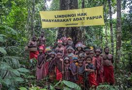 Pembangunan Papua Sudah Berbasis Ekologi, Narasi Film “Pesta Babi”Provokatif