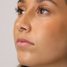 Paved Double Clicker Hoops, Nose Ring, Conch Hoop, Hoop Earring, 16G/18G  Septum Hoop • Daith Hoop • Tragus Hoop • Rook Hoop