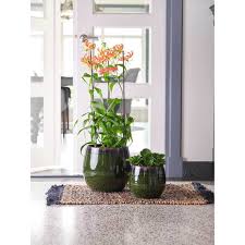 Your plants deserve the best! Charlotte Plant Pot Green Quality Indoor Plant Pots Hortology