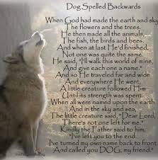 This Is Really Rather Sweet Even For Those Of Us Who Don T Believe In Dog Spelt Backwards Dog Poems Dogs Pet Remembrance