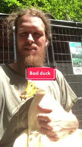 Patrick Ward Abuser Peking Duck