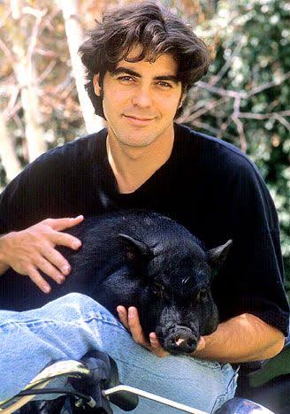Mga resulta ng larawan para sa George Clooney and his Potbellied pig pet, Max"