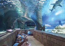 Sea Life Kansas City Aquarium Discount Family Fun In Omaha Vacation Locations Sea Life Travel Dreams