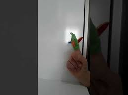 Selamcocuk Tv Panosundaki Pin