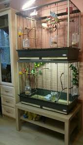 Used Bird Cages For Sale Near Me Bird Cage Idea Cashback World Buy Pet Supplies Now Www Cashbackworld Pet Bird Cage Bird Cage Diy Bird Cage