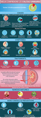 Outre les causes intestinales, urinaires, mais aussi le stress qui peuvent être à l'origine de douleurs abdominales et qui nécessitent un traitement médical, les causes. Calculs Urinaires Causes Traitements Creapharma