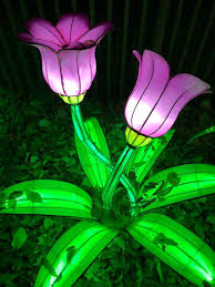 Promenade Nocturne Fleurie Au Jardin Des Plantes De Paris Paris Cote Jardin Plante Jardin Fleurs Lanterne Jardin