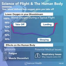 We did not find results for: 3 Charts The Science Of Flight And The Human Body