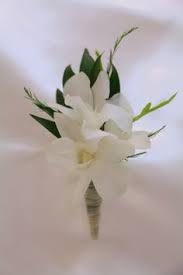 Jupiter is in palm beach county. The Future Miss You Thefuturemissyou Profile Pinterest