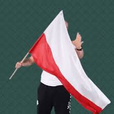 Jump to navigation jump to search. Team Poland Gifs Get The Best Gif On Giphy