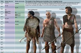 Maybe you would like to learn more about one of these? Pin On Physical Anthropology