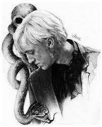 Its distinctive features include the thick black hair that covers its body; Image About Drawing In Draco Malfoy By Shadowsofdarkness