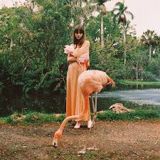 Webster signed to the record label secretly canadian in late 2018. Faye Webster Kingston Honey Punch Mag