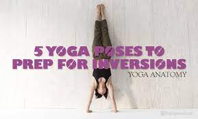 We did not find results for: Learn Yoga Anatomy 5 Yoga Poses To Prep For Inversions