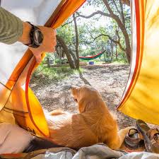 We welcome you to hill country rv resort & event center. Rv Parks Campgrounds In Austin Tent Rv Camping Visit Austin Tx