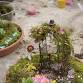 Fairy Gardening Class event image