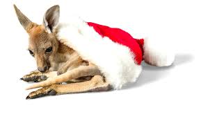 Many volunteer bush fire fighters are. Australian Christmas Tradition Singing Six White Boomers Little Passports