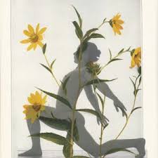 Bildergebnis für Robert Flynt