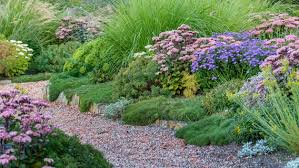 Sie kommen jedes jahr wieder, weil sie winterhart sind. Blutenbildung Bei Stauden Anregen Ndr De Ratgeber Garten Zierpflanzen