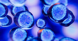 Clinical Trial Tests Stem Cell Therapy To Cure People With Type 1 Diabetes Diatribe