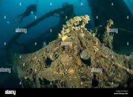 Diver on 60 meter deep SS Vis Wreck, Istrien, Croatia Stock Photo - Alamy