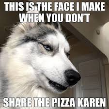 Cats And Dogs Dealing With The Karens In Their Life Memes Husky Memes Dog Quotes Funny Dog Jokes