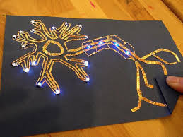 Hands On Ed Tech Handout For Paper Circuits W Leds Paper Circuits Cells Project Nervous System Projects
