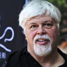 Sea Shepherd founder Paul Watson rams whalers for a living