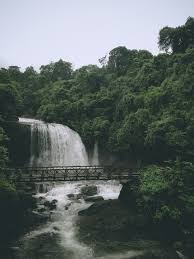 We did not find results for: 100 000 Best Waterfall Background Photos 100 Free Download Pexels Stock Photos