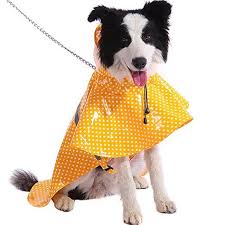 Dog Raincoats Adjustable And Lightweight Dot Dog Raincoat