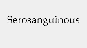 Notice the 'question and answer' pattern i mention above, and its impact on meaning and clarity in english. How To Pronounce Serosanguinous Youtube
