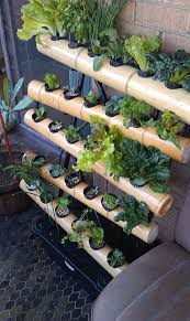Vgs Bamboo 30 Vertical Gardening Systems Vertical Garden Diy Bamboo Garden Gardening For Beginners