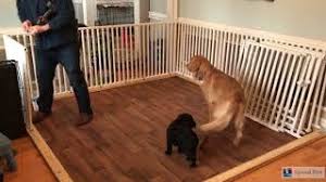 I live in constant fear of removing my own finger accidentally with a screwdriver. 5 Diy Puppy Pen Plans Free Easy To Build Doggie Designer
