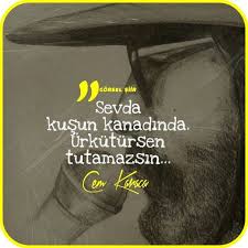 Cem Karaca Sevda Kusun Kanadinda Edebiyat Guzel Soz Ve Siir