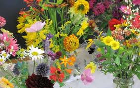 Image Result For Garden Centres Nurseries Image Result For Garden Centres Nurseries Image Result For Garden Centre Garden Center Unusual Plants Family Garden