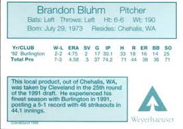 Grays Harbor Gulls Gallery