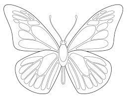Butterfly black and white drawing. How To Draw A Butterfly Art Projects For Kids