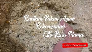 Pakan ternak berkulitas, dapat anda buat sendiri dengan memanfaatkan keong sawah/bekicot. Meracik Sendiri Pakan Ayam Bangkok Sesuai Usia Ayam Peduliayam