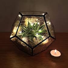 Pentagon Terrarium With Live Succulent Plants And Led Fairy Lights Supplied Fully Assembled Terrarium K In 2020 Terrarium Decor Geometric Terrarium Terrarium Wedding