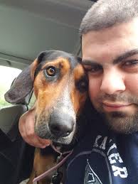 This is Shay! She is a Therapy Dog in Training!! Any one else have a  Therapy dog or one in training!?