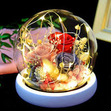 Maybe you would like to learn more about one of these? Preserved Flowers Wholesale Preserved Flowers Wholesalers Global Sources