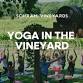 Yoga in the Vineyard