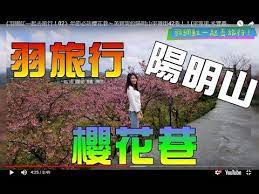 2020櫻花季 陽明山平菁街42巷 平等里 禾豐農園 公平橋 狗殷勤古道 youtube bart simpson fictional characters bart