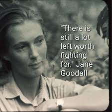 These 13 Quotes From Jane Goodall Will Unleash Your Wild Heart Jane Goodall Quotes Jane Goodall Nature Quotes