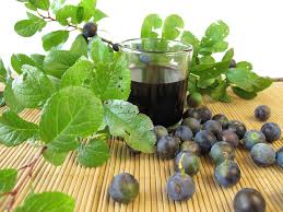 Schlehenlikor Rezept Naturprodukte Zum Selbermachen Schlehenlikor Schlehensaft Schlehen
