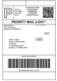 Please contact the lab for prices according to your location. Ups Overnight Label Template Blank Ups Shipping Label Fillable Printable Online Ups Internet Shipping Allows You To Prepare Shipping Labels For Domestic And International Shipments From The