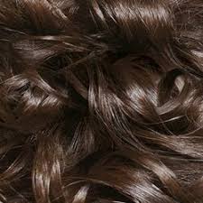 This deep brown haircolor is universally flattering, complimenting all skin tones and types. Revlon Colorsilk Luminista Dark Chocolate Brown 113 Beauty Lifestyle Wiki Fandom