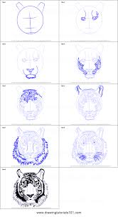 Draw the round head and mouth. How To Draw A Tiger Face Printable Step By Step Drawing Sheet Drawingtutorials101 Com
