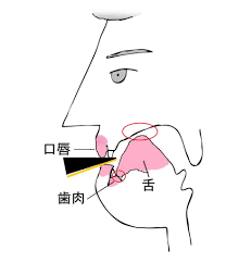 サックス タンギング 舌 の 位置