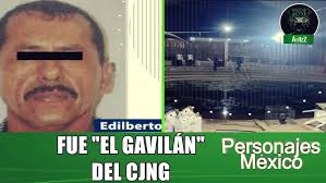 El Gavilan de la Palma